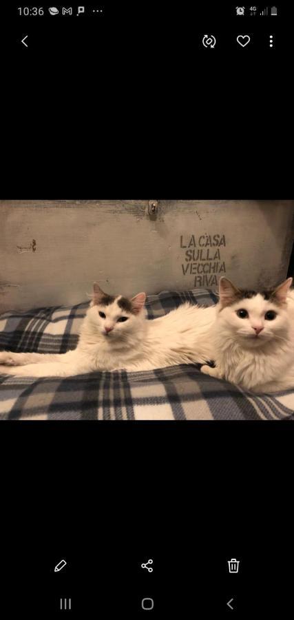 La Casa Sulla Vecchia Riva Leilighet Ferrara Eksteriør bilde